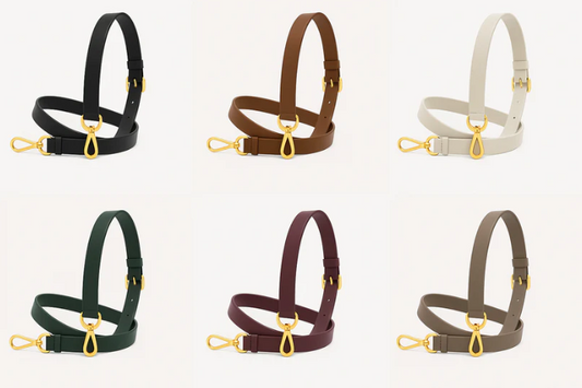 🎁 Premium Matching Shoulder Strap (100% off)